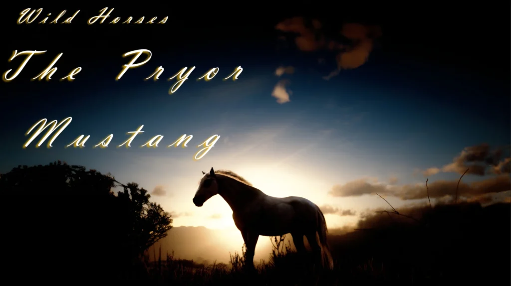 Wild Horses - The Pryor Mustang