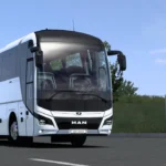 New Man Lion's Coach 2023 1.50