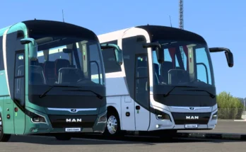 New Man Lion's Coach 2023 1.50