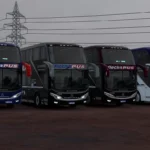 Niccoló New Isidro 3 V.1 for ETS2 1.50