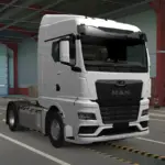 MAN TGX TG3 standart v1.0