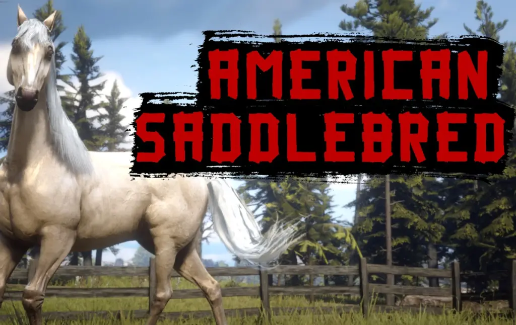 American Saddlebred V1.0