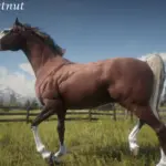 American Saddlebred V1.0