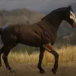 RDR's Dark Horse