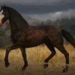 RDR's Dark Horse