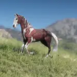 Karoz (Halloween Horse 2024) V1.0