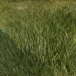 Xtreme Grass - Enhanced Grass and Foliage Density V1.0