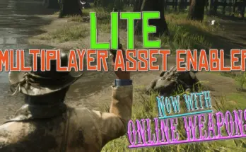 LITE - Multiplayer Asset Enabler