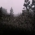 Rain Particles Fix V1.1