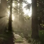 Dense Tall Trees V1.0