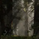 Dense Tall Trees V1.0