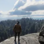 Dense Tall Trees V1.0