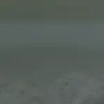 Hyla VIII - Hyla Gone Wild V1.0