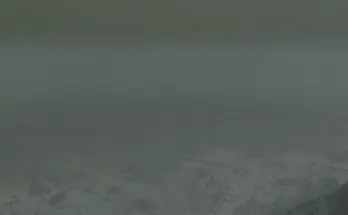 Hyla VIII - Hyla Gone Wild V1.0