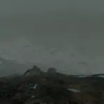 Hyla VIII - Hyla Gone Wild V1.0