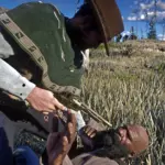 RDR2 - Ruthless Frontier - A New Game Plus Experience V1.1