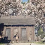 Wapiti Improvements Project V1.0