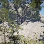 Wapiti Improvements Project V1.0