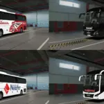 Man Lions Coating Pack I v1.0