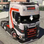 Scania S NGU 4k skin v1.0