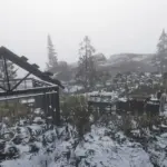 Ambarino - Project Overhaul V3.5