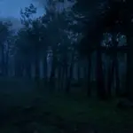 Ambient Wilderness Overhaul V1.1