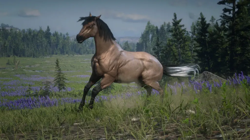 American Standardbred Reimagined V1.0