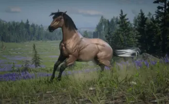 American Standardbred Reimagined V1.0