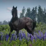 American Standardbred Reimagined V1.0