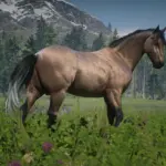 American Standardbred Reimagined V1.0