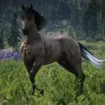 American Standardbred Reimagined V1.0