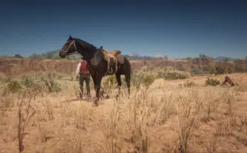 Doc Holliday horse V1.0