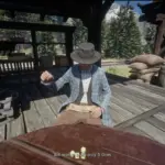 Gambler 11 - Liar's Dice V1.0