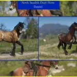 North Swedish Draft Horse V1.0