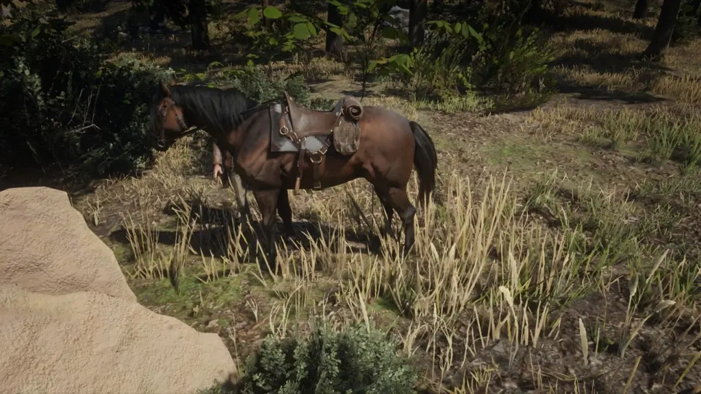 Sundance Kid and Butch Cassidy horse V1.0