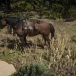 Sundance Kid and Butch Cassidy horse V1.0