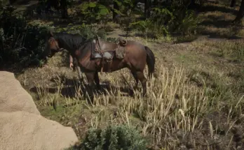 Sundance Kid and Butch Cassidy horse V1.0