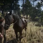 Sundance Kid and Butch Cassidy horse V1.0