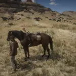 Sundance Kid and Butch Cassidy horse V1.0