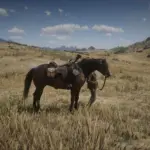 Sundance Kid and Butch Cassidy horse V1.0