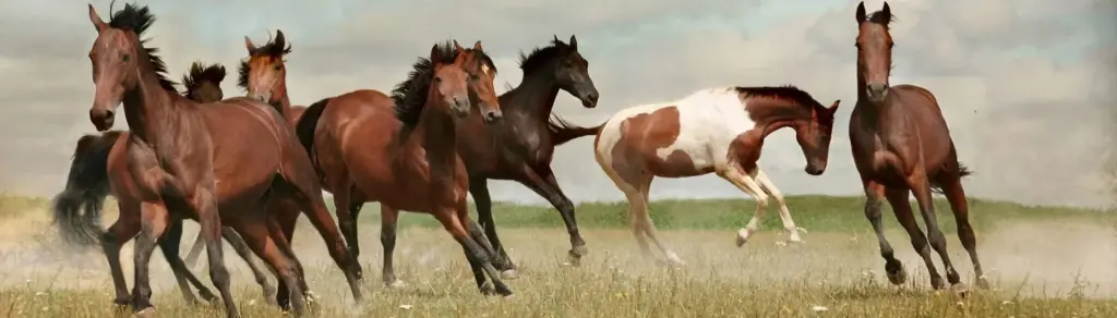 Western Gang Horse V1.0