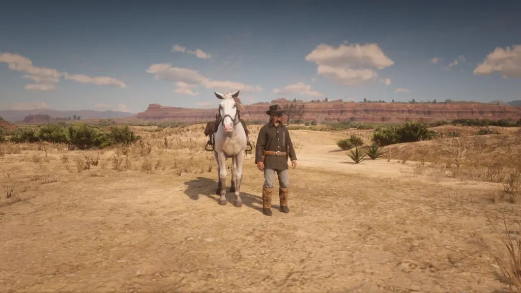 Wild bill Hitchcock and buffalo bill and calamity jane V1.0