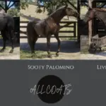 American Quarter Horse Breed (AQH) V2.0