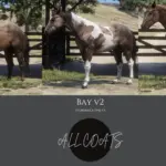 American Quarter Horse Breed (AQH) V2.0