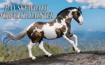 Bay Skewbald Norfolk Roadster - A True Western Beauty V1.0