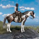 Bay Skewbald Norfolk Roadster - A True Western Beauty V1.0