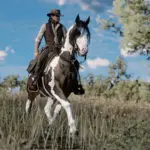 Bay Skewbald Norfolk Roadster - A True Western Beauty V1.0