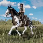 Bay Skewbald Norfolk Roadster - A True Western Beauty V1.0