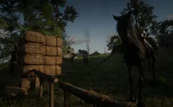 Black Water Camp V1.0