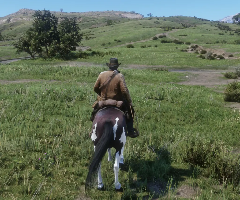 Disable Lasso Dragging Damage V1.0